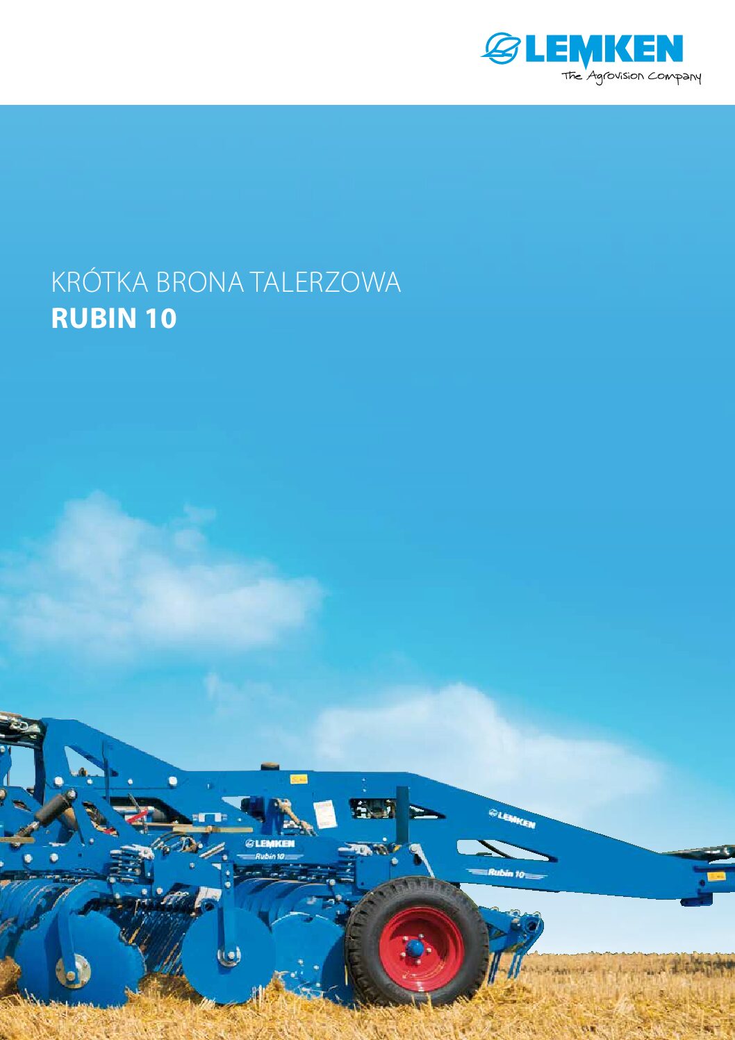 Rubin_10_pl.pdf
